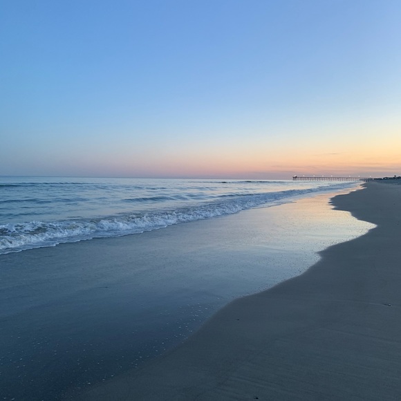 🚨🌊 🌹 🐟 Rose is LIVE -SHARE Show 🤩 LIKE TO BE NOTIFIED 🙏 🌊🌊 (tray open) - Picture 3 of 17